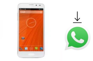 How to install WhatsApp in a Star N900 S5