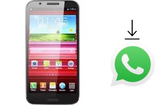 How to install WhatsApp in a Star N9599T