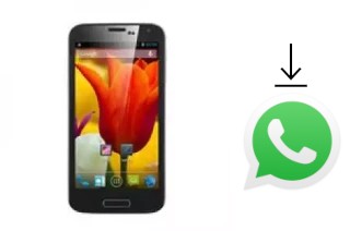 How to install WhatsApp in a Star W500