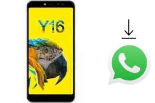 How to install WhatsApp in a Sugar Y16