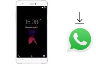 How to install WhatsApp in a Sunny SS4G7 Sole