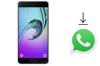 How to install WhatsApp in a Tashan TS-851