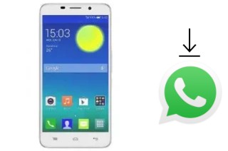 How to install WhatsApp in a Tashan TS821