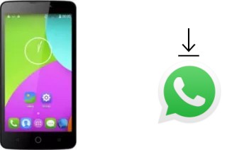 How to install WhatsApp in a TCL 302U