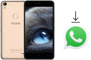 How to install WhatsApp in a Tecno WX4