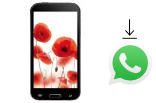 How to install WhatsApp in a TELEFUNKEN TF-SP5302