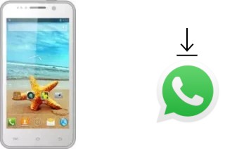 How to install WhatsApp in a THL W100