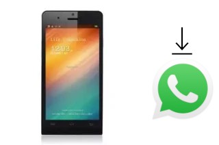 How to install WhatsApp in a Titan Q5