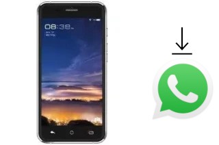 How to install WhatsApp in a Trio V51 DT