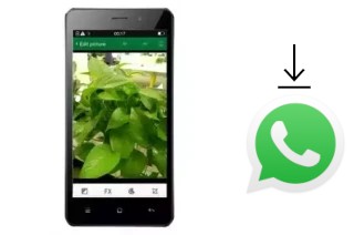 How to install WhatsApp in a True Smart 4G HD Voice