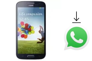 How to install WhatsApp in a TSM T968