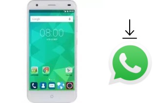 How to install WhatsApp in a TWM Amazing X6