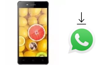 How to install WhatsApp in a TWZ Y55