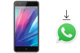 How to install WhatsApp in a TWZ Y68