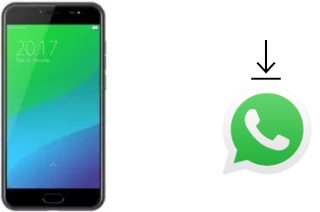 How to install WhatsApp in an Ulefone Gemini Pro