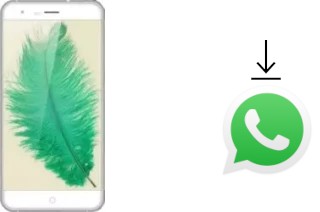 How to install WhatsApp in an Ulefone Paris Lite