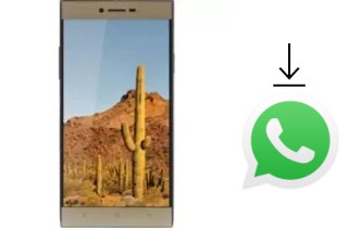 How to install WhatsApp in a VC Cactus