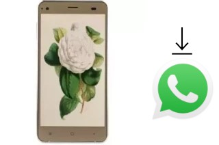 How to install WhatsApp in a VC Camellia II