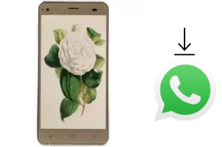 How to install WhatsApp in a VC Camellia