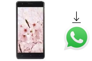 How to install WhatsApp in a VC Cherry