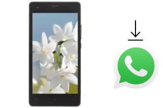 How to install WhatsApp in a VC Jasmine