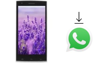 How to install WhatsApp in a VC Lavender II