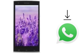 How to install WhatsApp in a VC Lavender