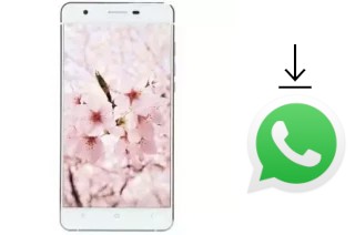 How to install WhatsApp in a VC Maple II