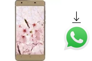 How to install WhatsApp in a VC Sakura II