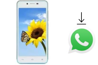 How to install WhatsApp in a VC Sunflower