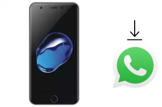 How to install WhatsApp in a VG V661 3G