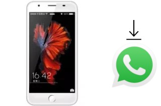 How to install WhatsApp in a VG V666 3G