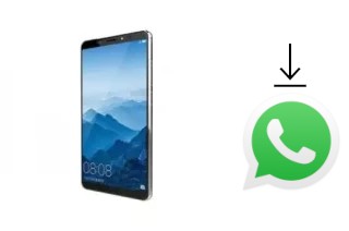 How to install WhatsApp in a VINOVO K10