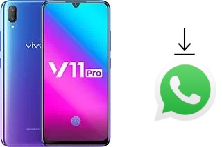 How to install WhatsApp in a vivo V11 (V11 Pro)