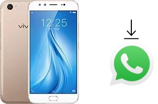 How to install WhatsApp in a vivo V5 Plus