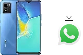 How to install WhatsApp in a vivo Y01