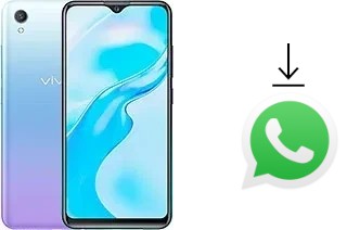 How to install WhatsApp in a vivo Y1s