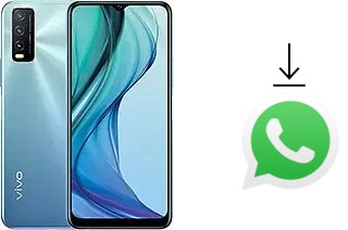 How to install WhatsApp in a vivo Y30 (China)