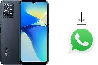 How to install WhatsApp in a vivo Y33e