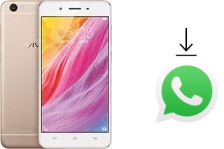 How to install WhatsApp in a vivo Y55s