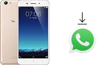 How to install WhatsApp in a vivo Y65