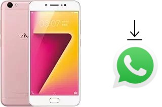 How to install WhatsApp in a vivo Y67