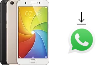 How to install WhatsApp in a vivo Y69