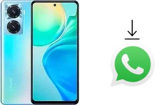 How to install WhatsApp in a vivo Y77 (China)