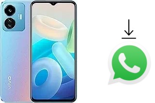 How to install WhatsApp in a vivo Y77