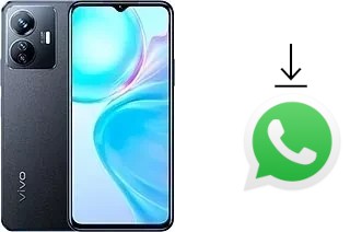 How to install WhatsApp in a vivo Y77e