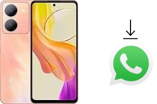 How to install WhatsApp in a vivo Y77t