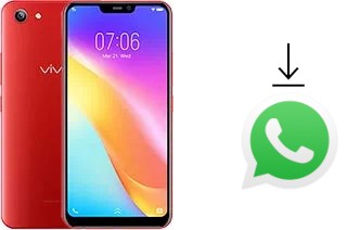 How to install WhatsApp in a vivo Y81i