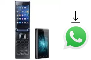 How to install WhatsApp in a VKworld T2