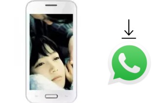 How to install WhatsApp in a Vsun I5